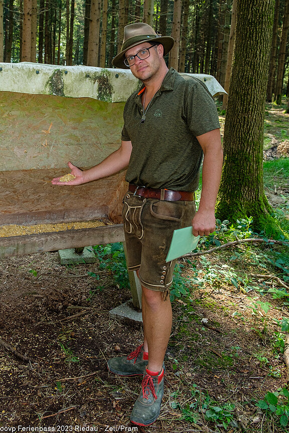 2023_08_FP_zeller_jaeger_wald_natur_029.jpg  