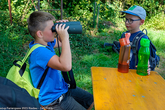 2023_08_FP_zeller_jaeger_wald_natur_015.jpg  