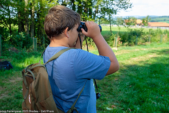 2023_08_FP_zeller_jaeger_wald_natur_021.jpg  