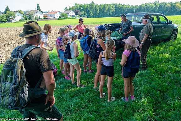 2023_08_FP_zeller_jaeger_wald_natur_006.jpg  