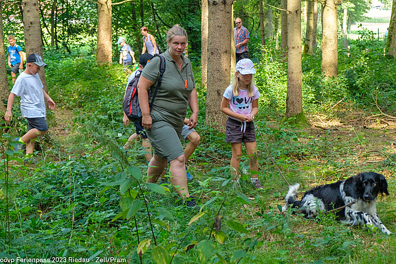 2023_08_FP_zeller_jaeger_wald_natur_030.jpg  